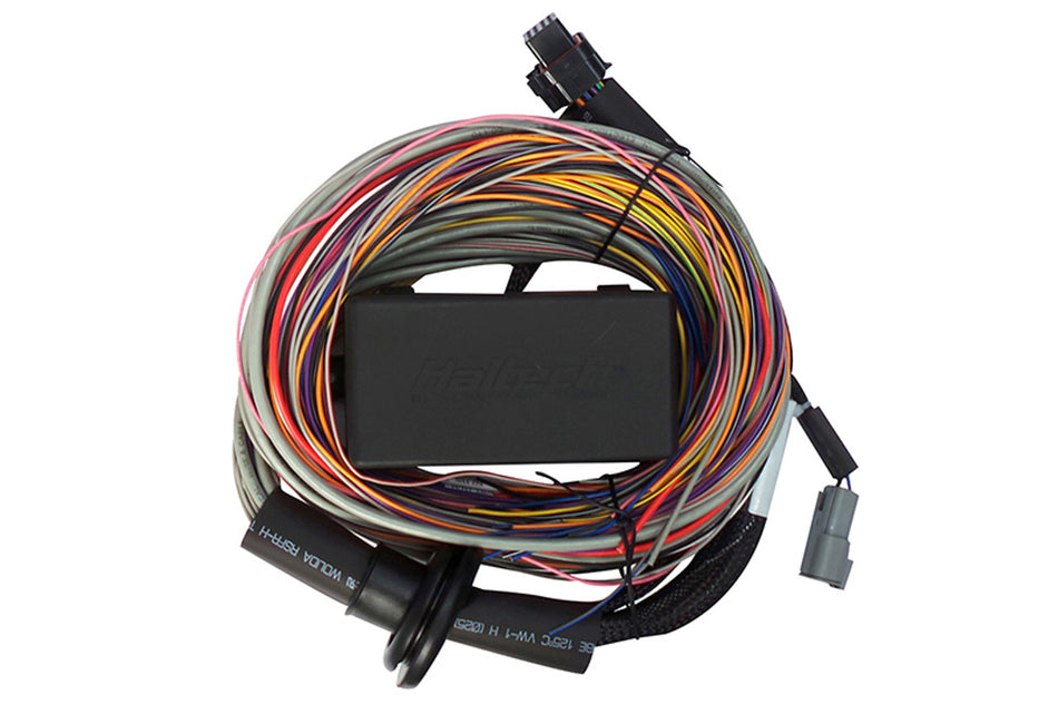 Haltech Elite 550 Premium Universal Wire-In Harness - 2.5M (8ft) - HT-140404