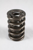 PAC Racing Dual Drag Race 1300 Series Valve Spring 1.106 OD Ford 4V - Set of 16 - PAC-1312-16