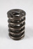 PAC Racing Dual Drag Race 1300 Series Valve Spring 1.106 OD Ford 4V - Set of 16 - PAC-1312-16