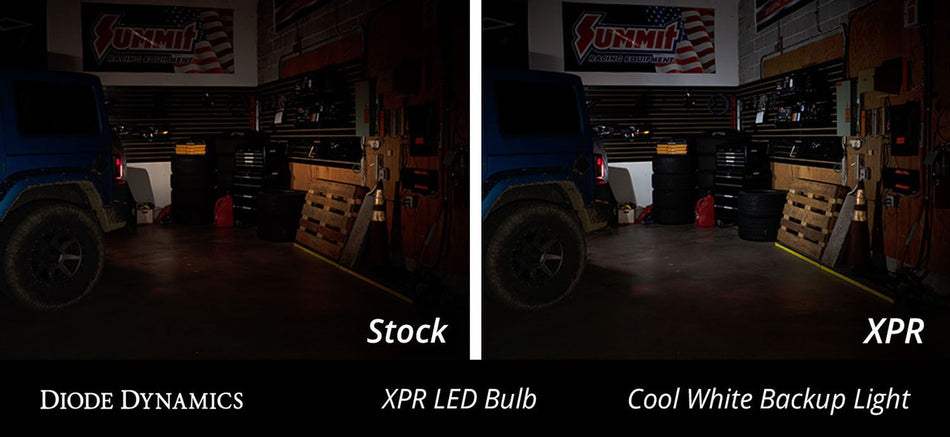Diode Dynamics XPR Backup LED Bulb (2015-2023 Mustang) DD0378S