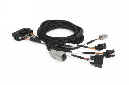 Haltech Nexus Universal Plug-in IO Expansion Harness - 2.5m (8ft) - HT-189002
