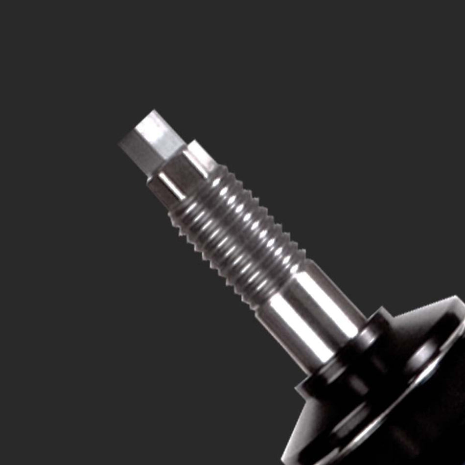 Strange Double Adjustable Coil Over Strut Drag Race (2015-2023 Mustang) S2045