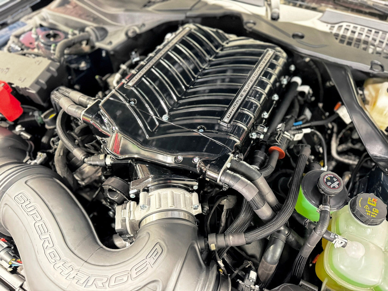 Whipple Supercharger Stage 2 Complete Kit Gen 6 3.0L (2024 - 2026 Mustang GT / Dark Horse) WK-2640-S2-30