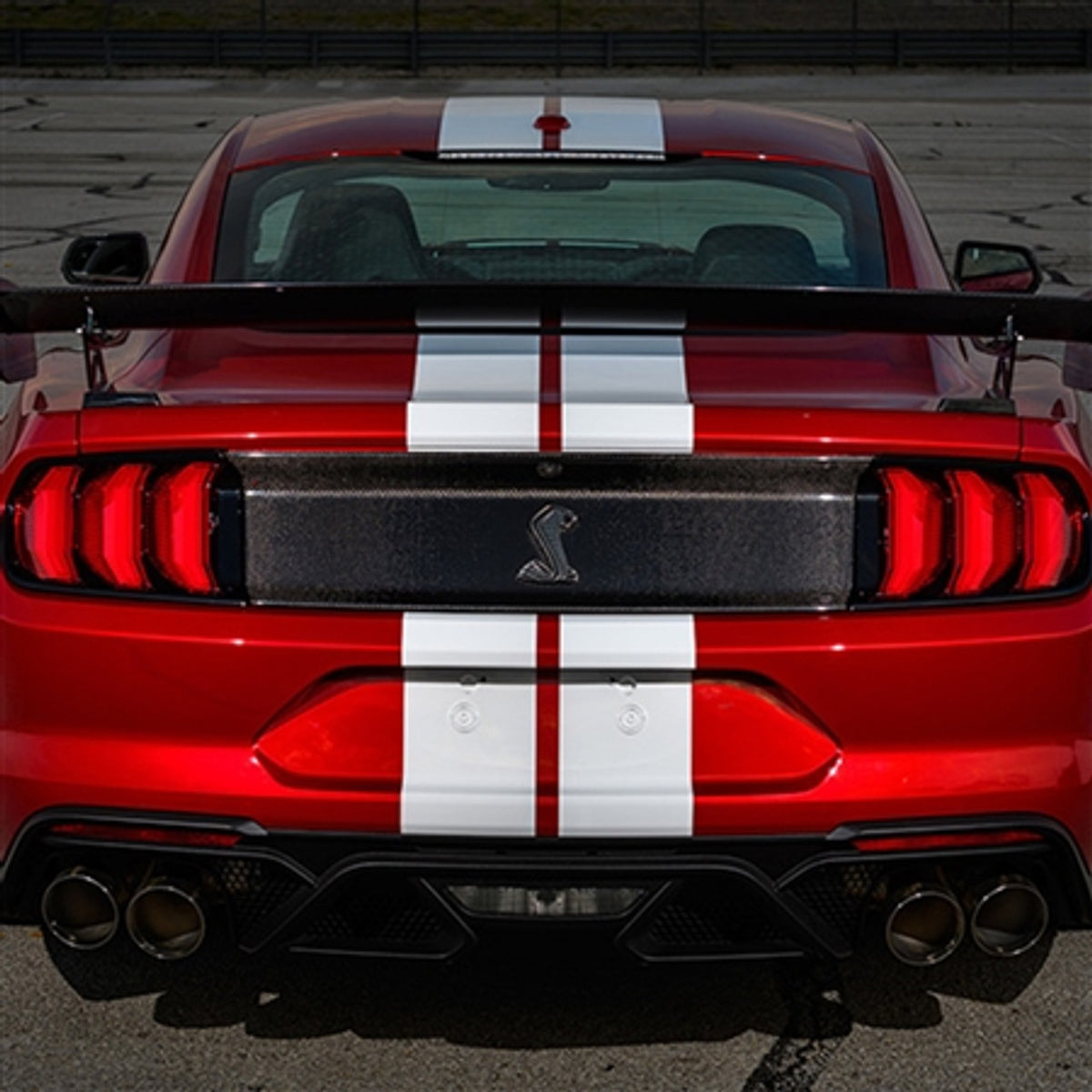 Shelby American GT500 Carbon Fiber Rear Deck Lid Trim Panel (2016 - 2022 GT500) M-16600-MCF