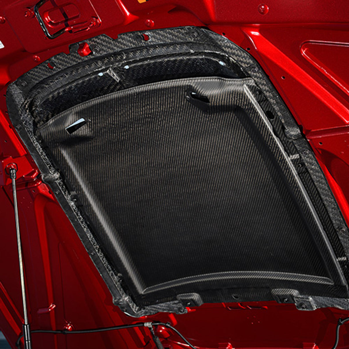Ford Racing Carbon Fiber Hood Vent Kit (2020-2022 Shelby GT500) M-16612-C20