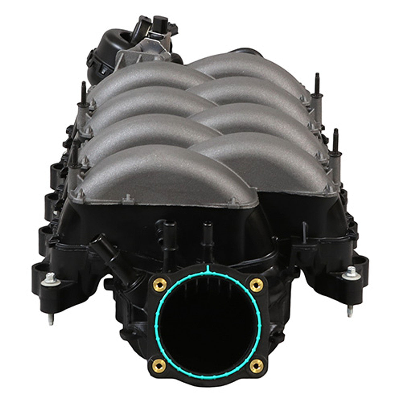 Ford Racing 2018-2023 Mustang GT Intake Manifold (2011-2023 Mustang GT / F150 5.0L) M-9424-M50C