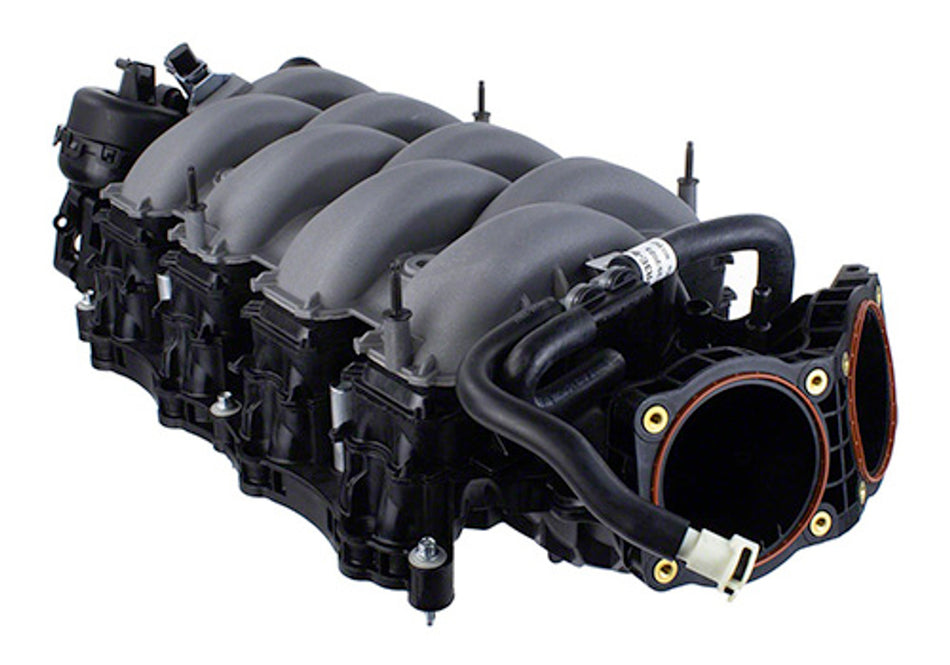 Ford Performance Dual Throttle Body Intake Manifold (2024 - 2025 Mustang 5.0) M-9424-M50D