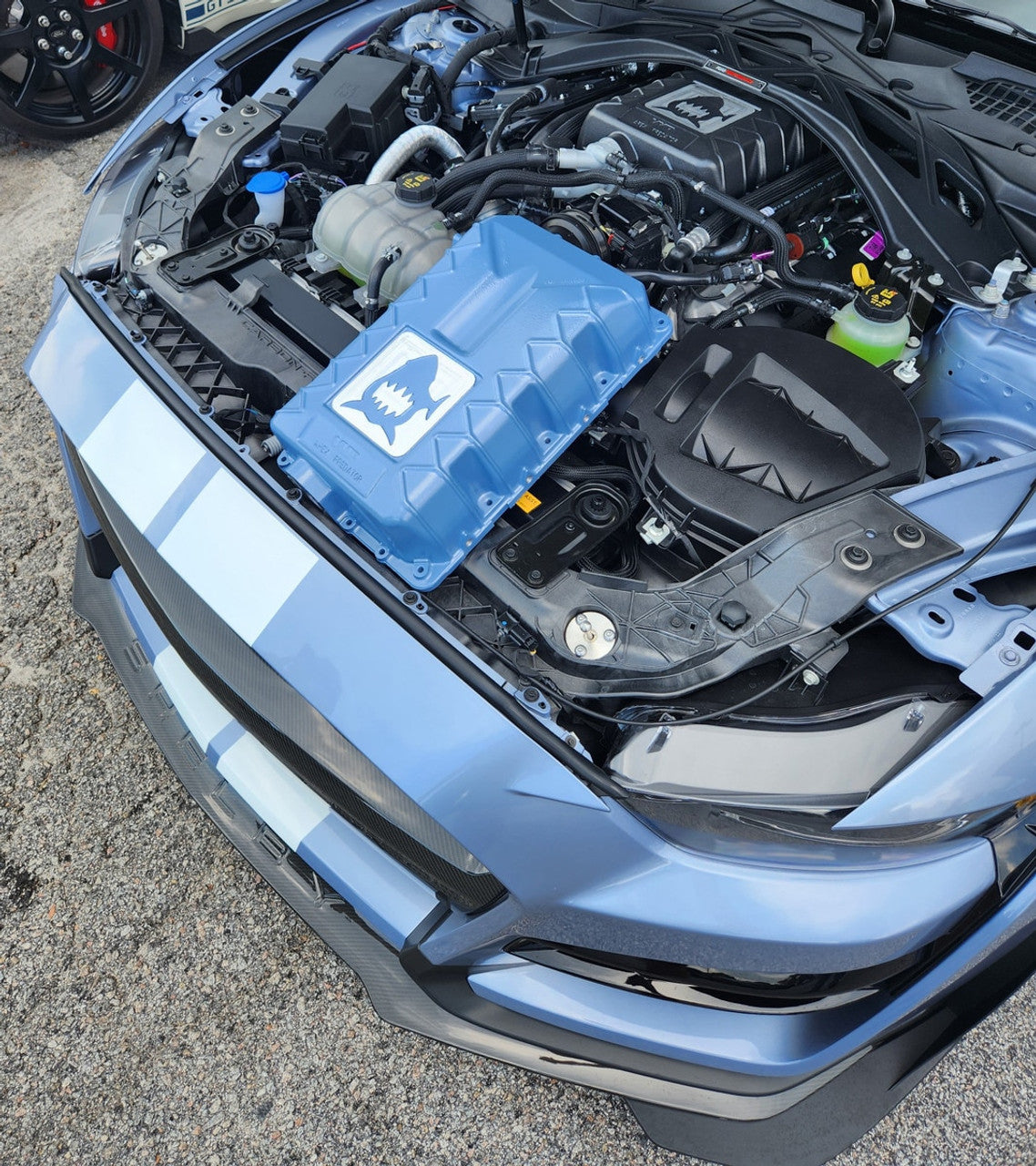 VMP Apex Predator Supercharger Lid Custom Powdercoat Color (2020 - 2022 Shelby GT500 / 2023 - 2024 Raptor 5.2L) VMP-APX014