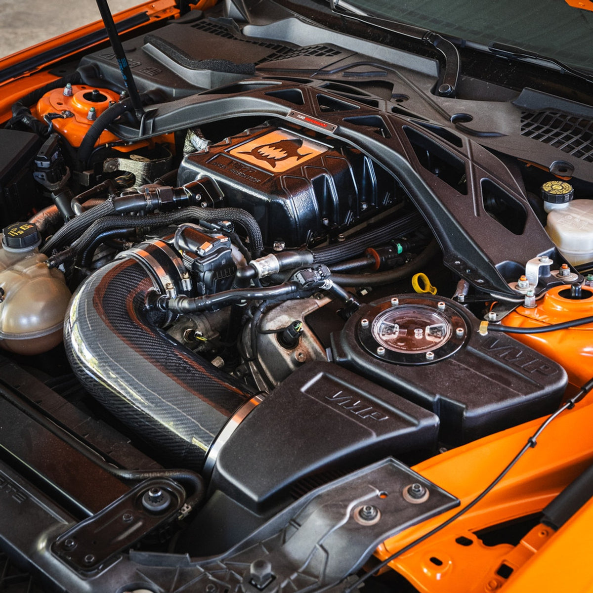 VMP Apex Predator Carbon Fiber Cold Air Intake Kit (2020 - 2022 Shelby GT500) VMP-APX054