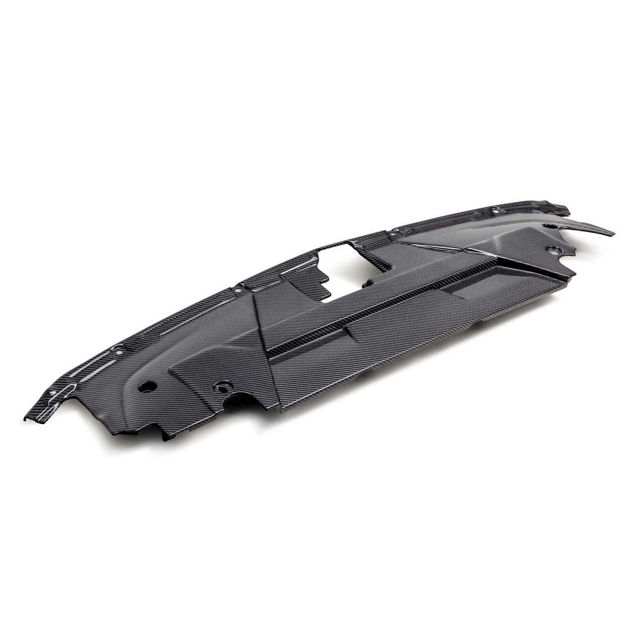 Anderson Composites Carbon Fiber Radiator Cover (2024 - 2025 Mustang) AC-CP24FDMU