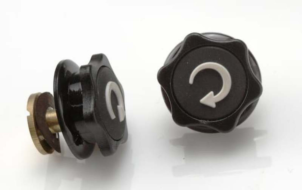 RaceQuip Pro Shield Tearoff Posts 2 Pak - 204110