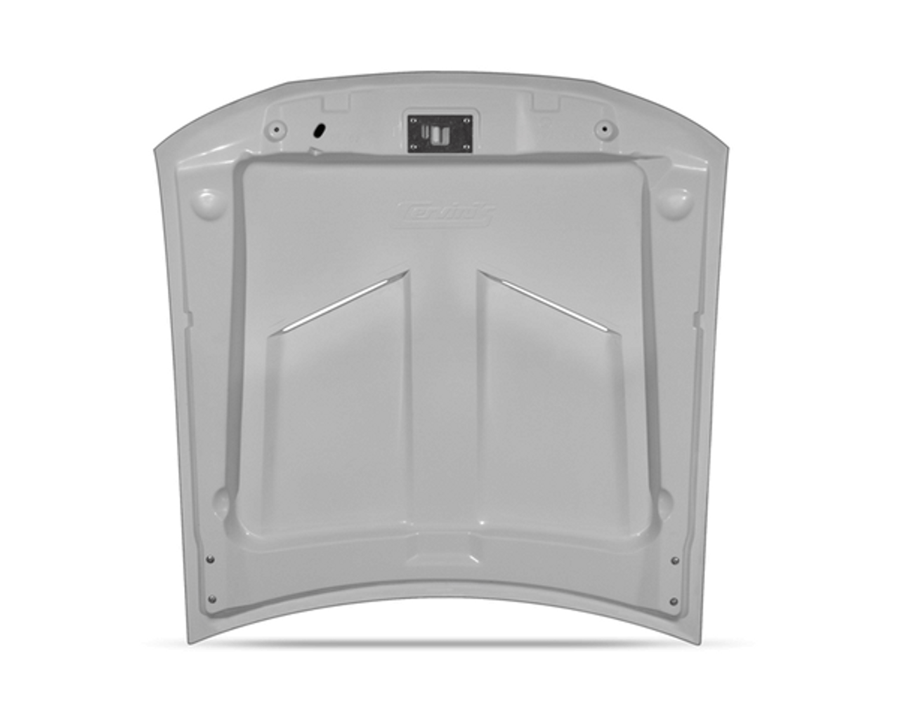 Cervinis Ram Air Hood (99-04 Mustang) 149