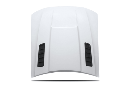 Cervinis Stalker II Hood (99-04 Mustang) 1230