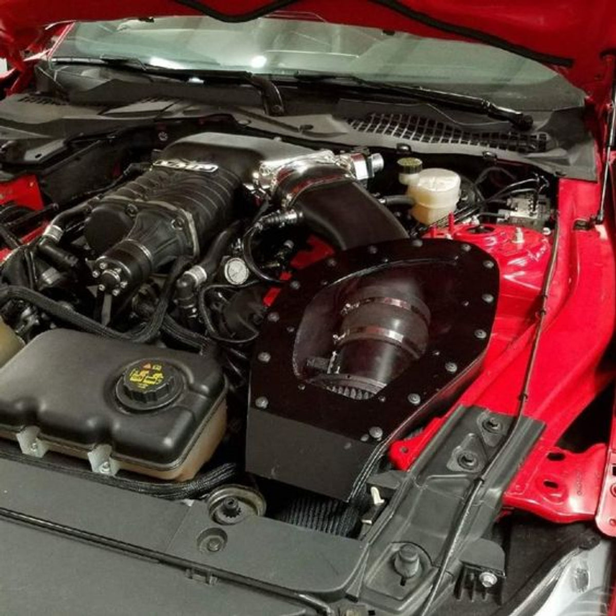 PMAS Cold Air Intake Roush VMP TVS No Tune Required (15-17 Mustang GT) N-PD13-2