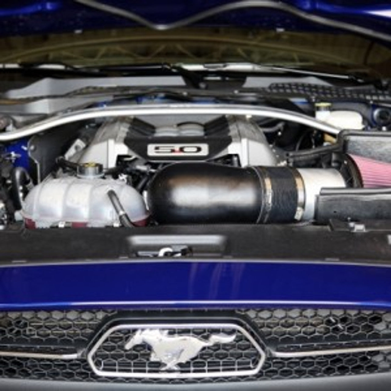 PMAS Cold Air Intake System Tune Required (15-17 Mustang GT) N-MT13-1