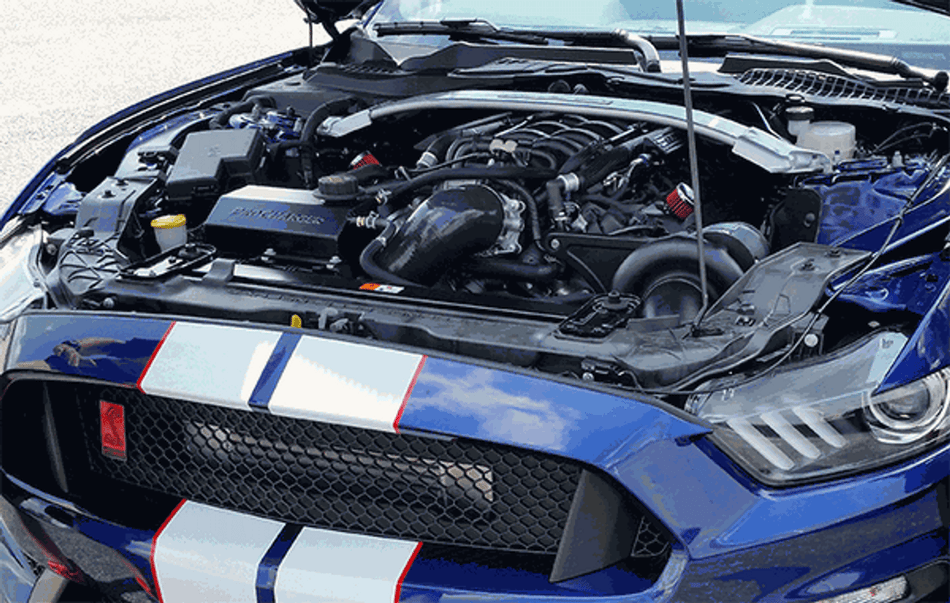 Procharger Supercharger P-1SC-1 High Output Intercooled System (2015 - 2020 Shelby GT350) 1FW312-SCI