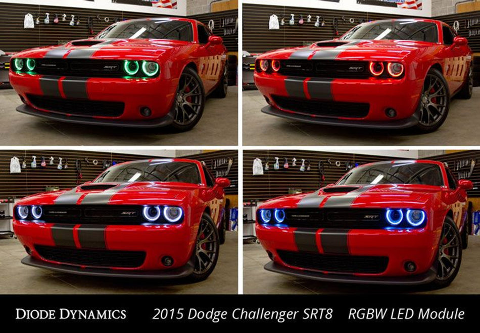 Diode Dynamics Multicolor LED Boards RGBW (2015 - 2023 Challenger / 2017 - 2018 Demon) DD2002