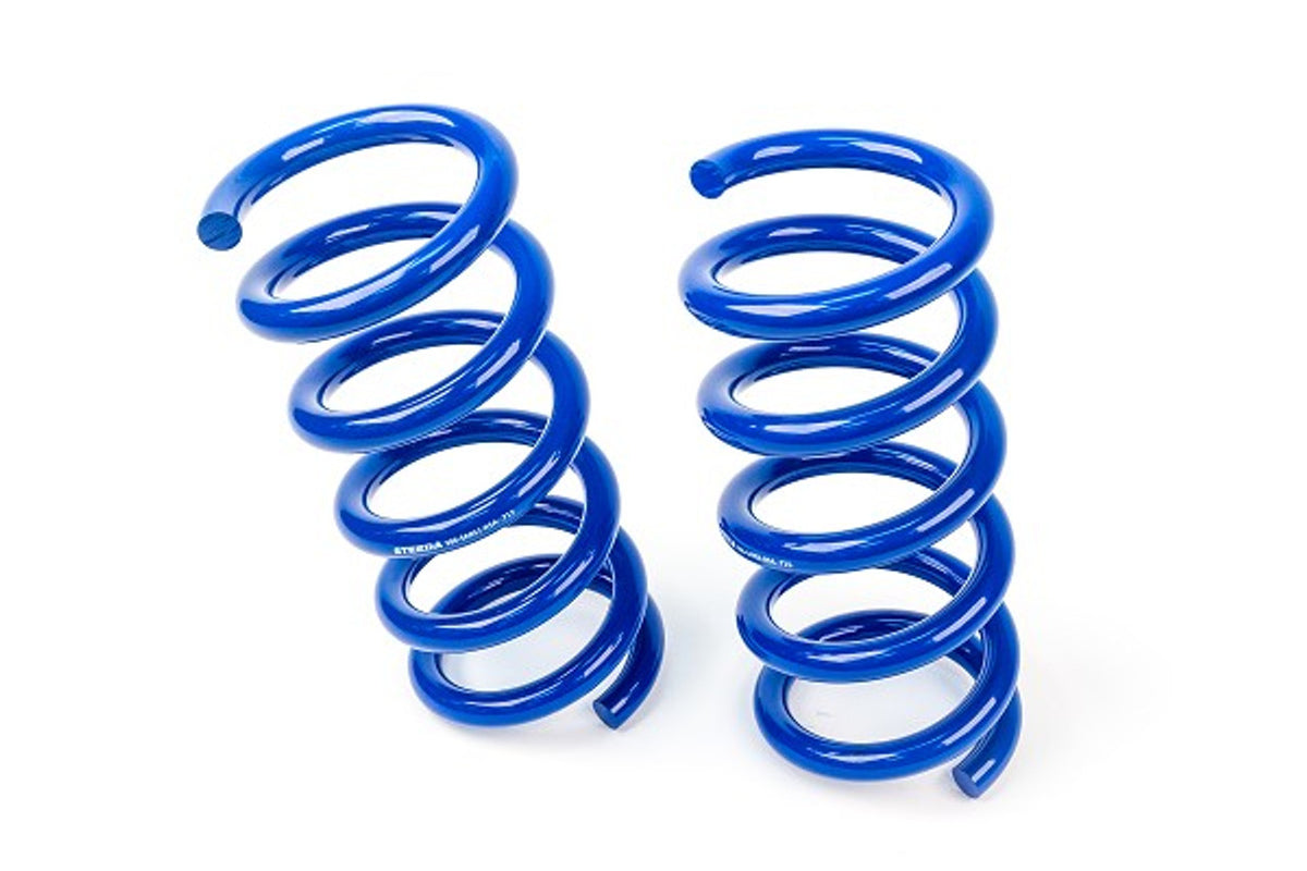 Steeda Rear Drag Spring Kit (2015 - 2023 Mustang) 555-8232