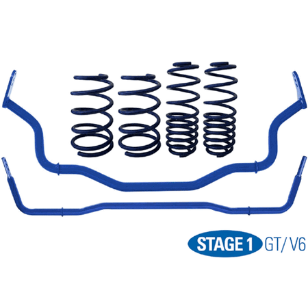 Steeda Stage 1 Handling Package Ultralite Linear (2015-2023 Mustang GT / V6) 555-2122-U