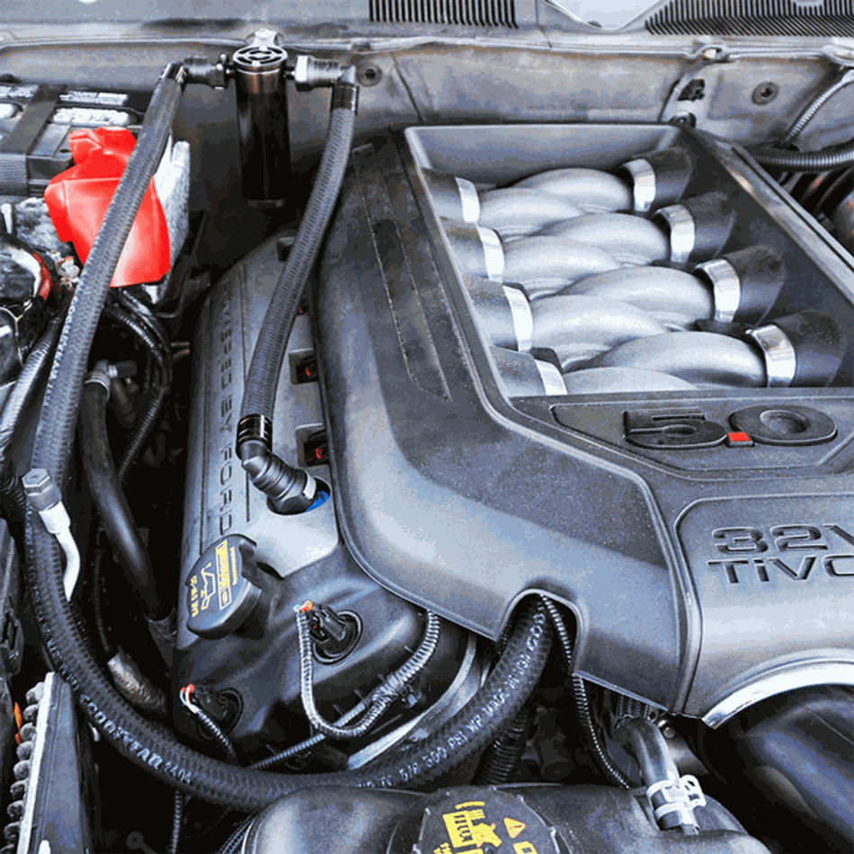 UPR Products Oil Catch Can Plug-N-Play Firewall Mount Satin (2011-2014 Mustang GT) 5028-116