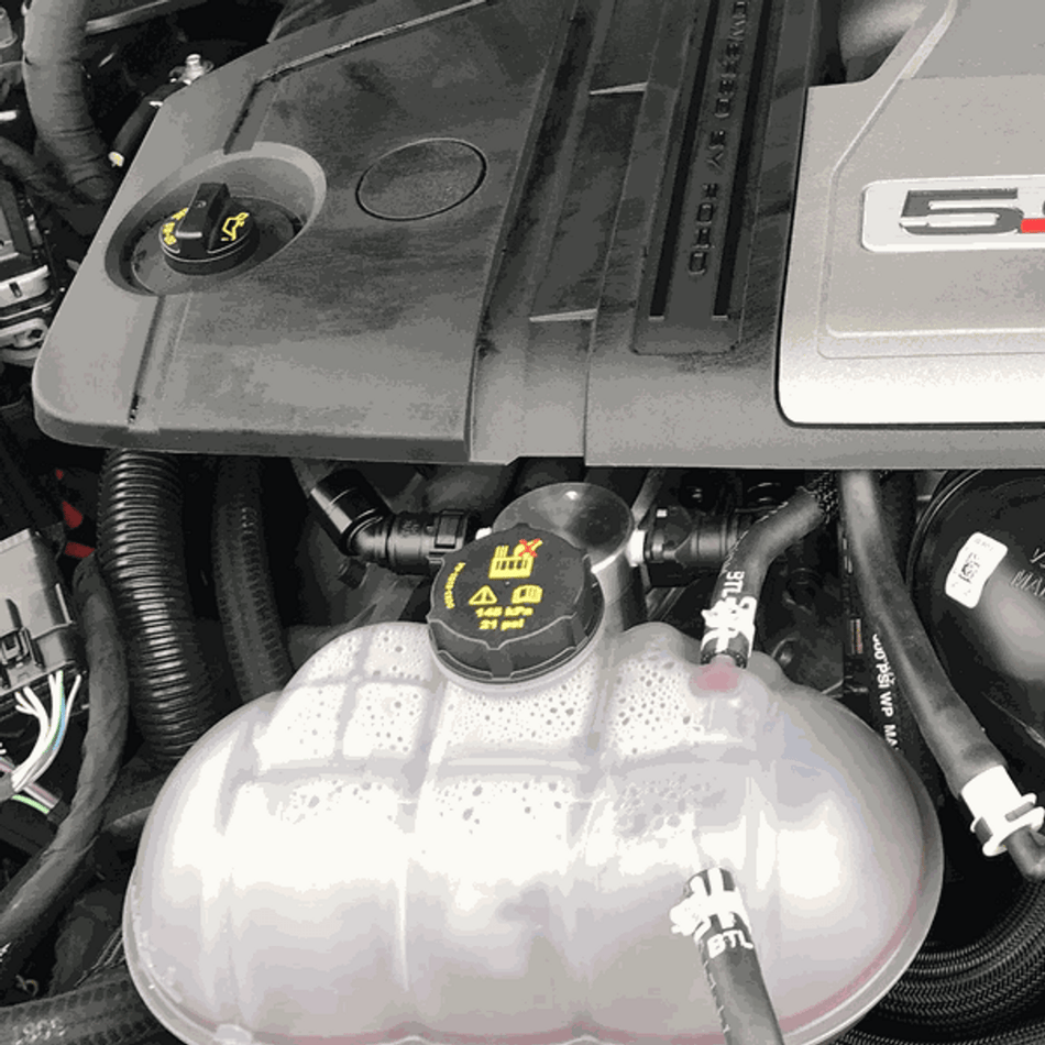 UPR Products Plug & Play Budget Style Catch Can Satin (2018-2023 Mustang) 5028-226