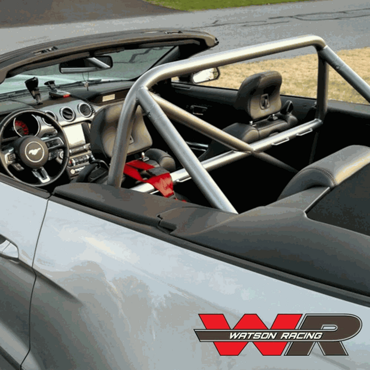 Watson Racing Roll Cage Convertible Bolt In 4pt (2015-2023 Mustang)