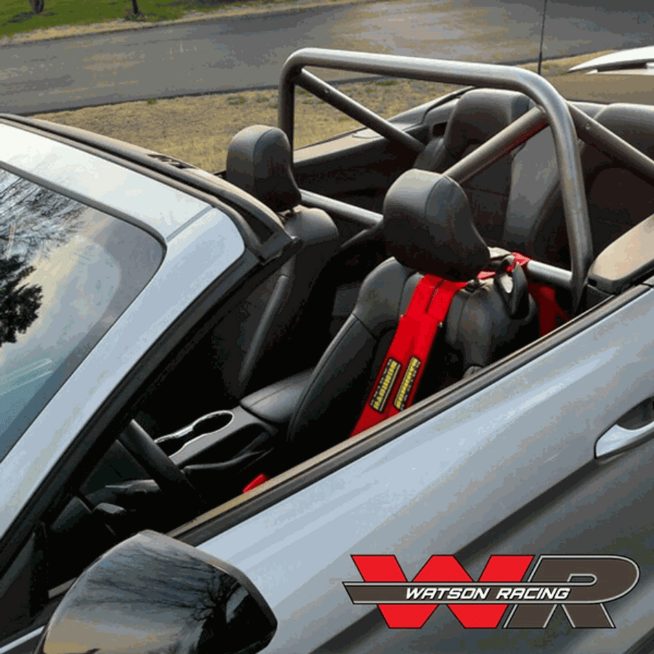 Watson Racing Roll Cage Convertible Bolt In 4pt (2015-2023 Mustang)