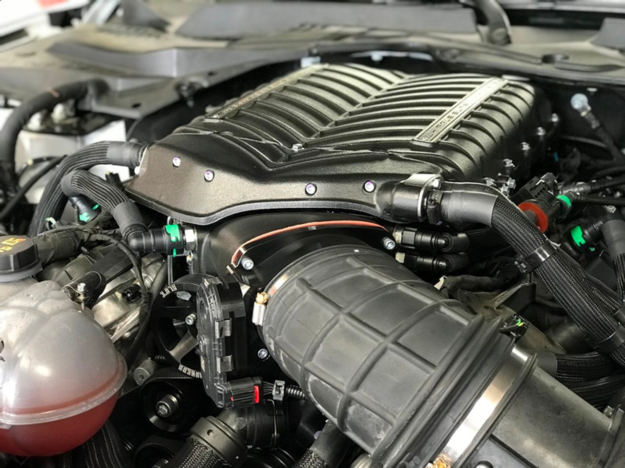 Whipple Supercharger Kit 3.0L Gen 6 (2016 - 2020 Shelby GT350 / GT350R) WK-2621-30-NFT