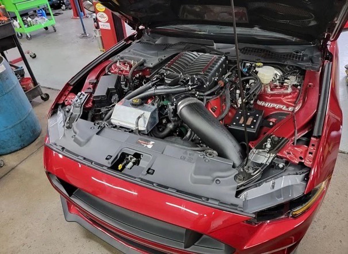 Whipple Cold Air Intake System Cobra Jet (2015 2023 Mustang GT with Whipple SC)